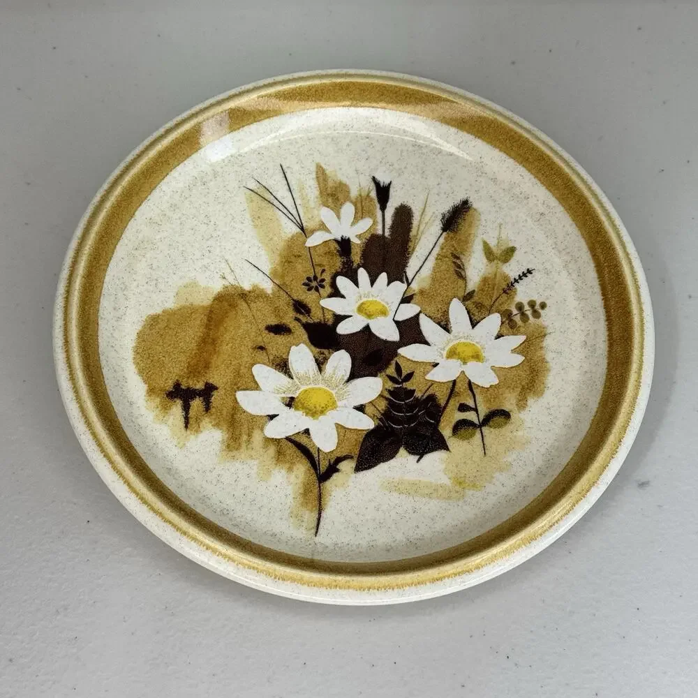 Lot of 5 Mikasa Daisy Mae Stone Manor Plates & Bowls Set MCM Floral Brown Japan